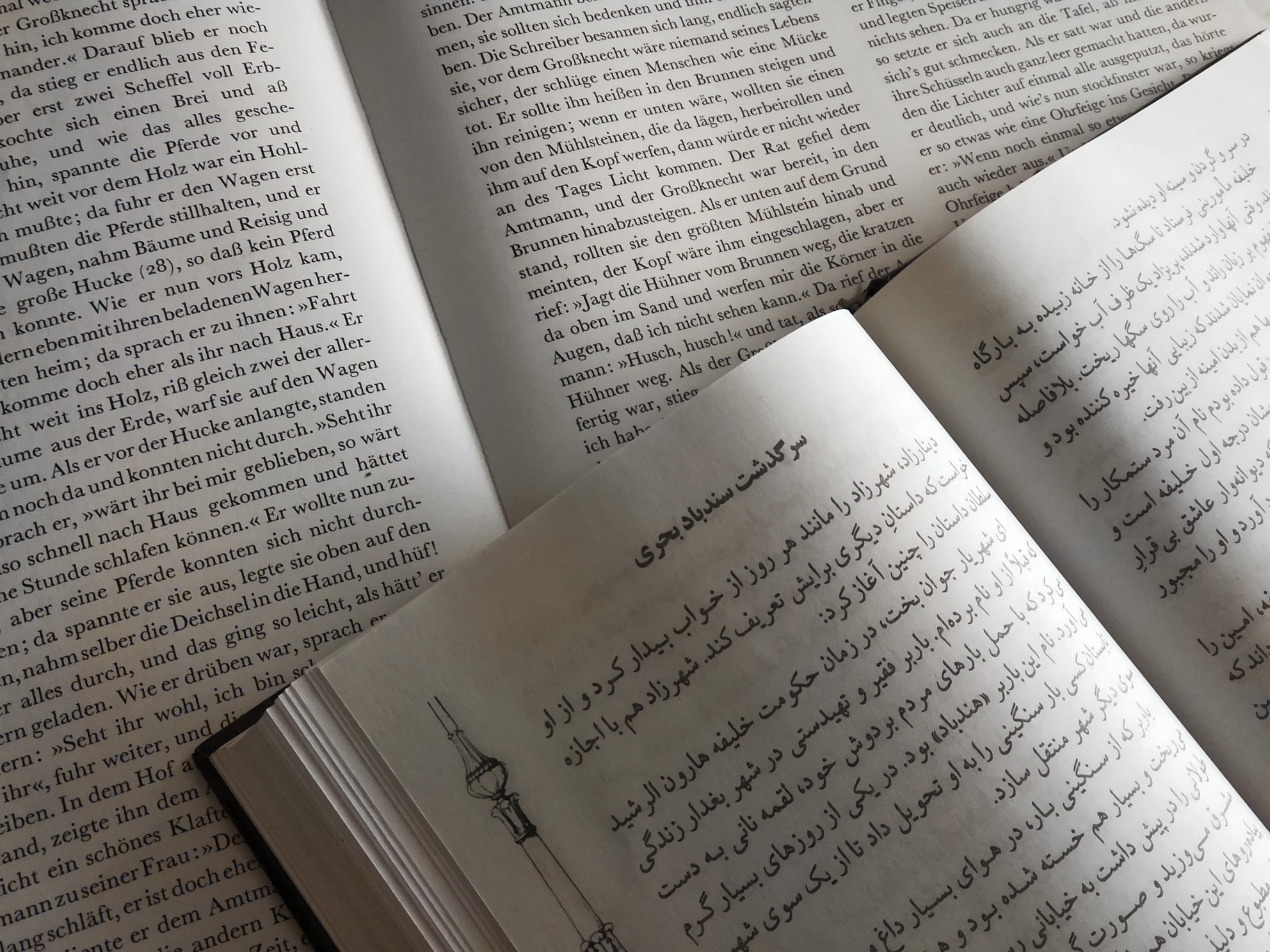 Foto zweier aufgeschlagener Bücher in Deutsch und Farsi